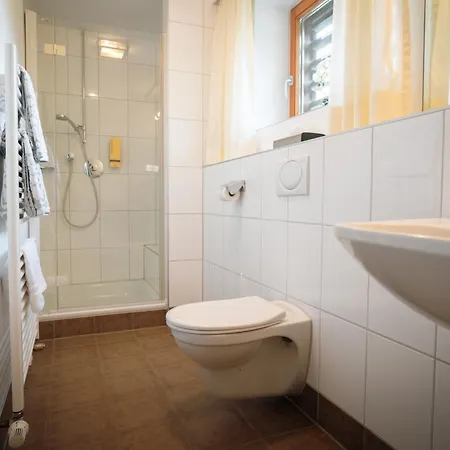 Apart-hotel Apart-garni Innerwiesn Mayrhofen