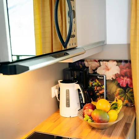 Apart-hotel Apart-garni Innerwiesn Mayrhofen